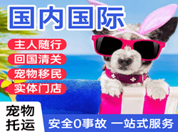 林芝米林机场快运国际宠物托运 【国
